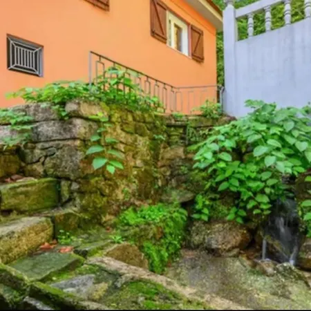 The Mountain House Experience *