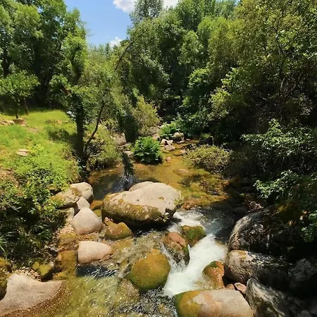 The Mountain House Experience *