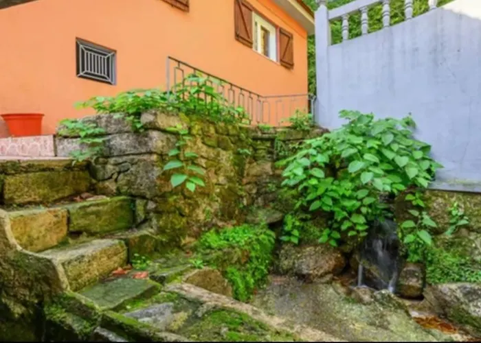 The Mountain House Experience *