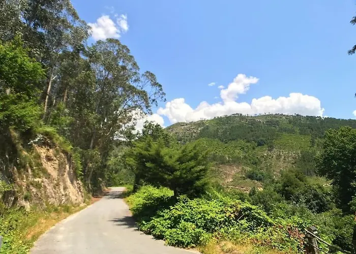 The Mountain House Experience