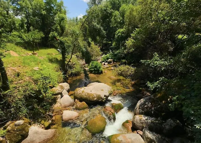 The Mountain House Experience *